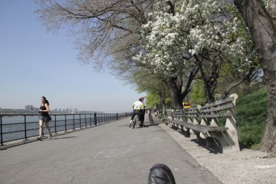 ir-150507_14-40_5483.jpg