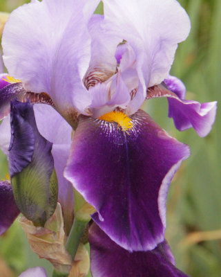 ir-150527_11-32_6266P.jpg