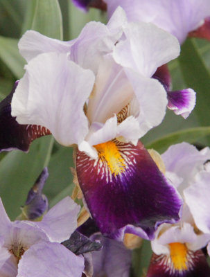ir-150527_11-28_6258PMG6620.jpg