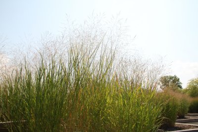 ir-2015-09-01_12-48_1143.jpg