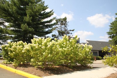 ir-2015-09-01_13-48_1159.jpg