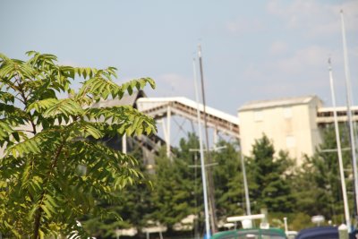 ir-2015-09-01_13-56_1169.jpg