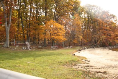 ir-IMG_1891.jpg