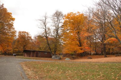 ir-IMG_1935.jpg