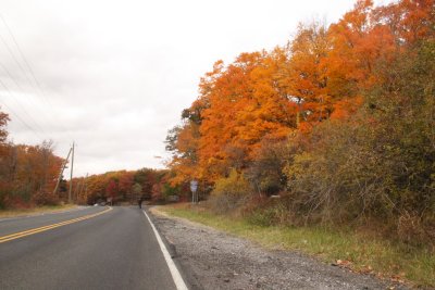 ir-IMG_1972.jpg