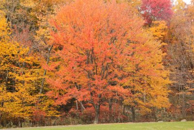 ir-IMG_1979.jpg