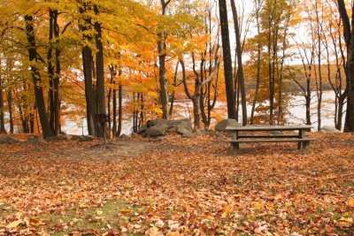 ir-IMG_1985.jpg