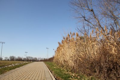 ir-2015-11-24_13-17_2145.jpg