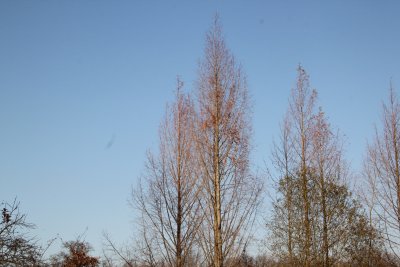ir-2015-11-24_14-50_2161.jpg