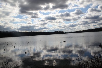 ir-2015-12-03_13-11_2540.jpg