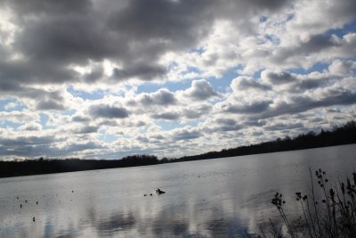 ir-2015-12-03_13-12_2541.jpg