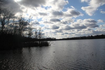 ir-2015-12-03_13-14_2544.jpg