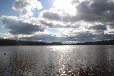 ir-2015-12-03_13-56_2561.jpg
