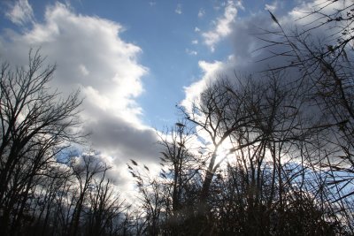 ir-2015-12-03_14-37_2573.jpg