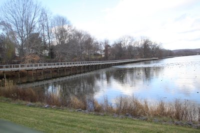 ir-IMG_2586.jpg