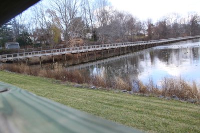 ir-IMG_2587.jpg