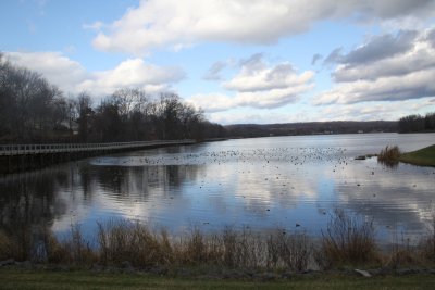 ir-IMG_2588.jpg