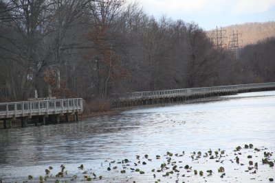 ir-IMG_2589.jpg