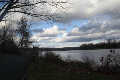 ir-IMG_2591.jpg