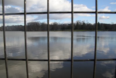 ir-IMG_2595.jpg