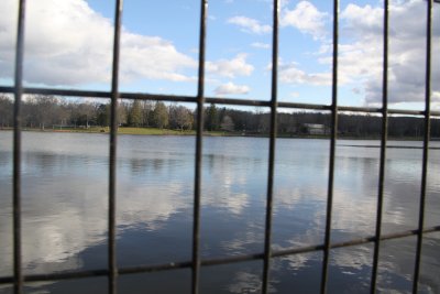 ir-IMG_2596.jpg