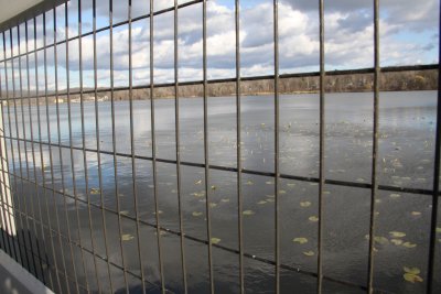 ir-IMG_2598.jpg