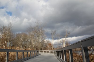 ir-IMG_2599.jpg