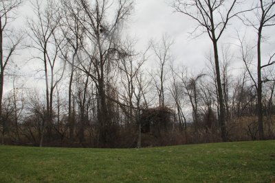 ir-2015-12-31_16-06_3915.jpg