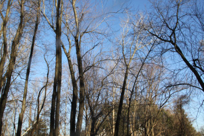 ir-2016-01-06_15-44_3954.jpg