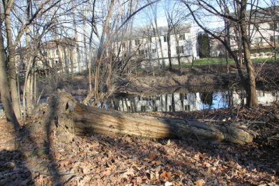 ir-IMG_3959.jpg
