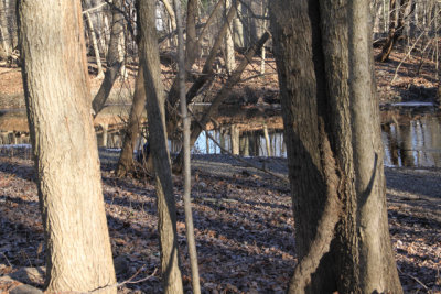 20160106_saddlerivercountypark