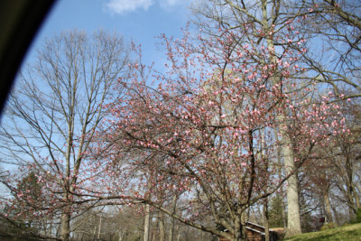 ir-2016-04-21_17-12_5487.jpg