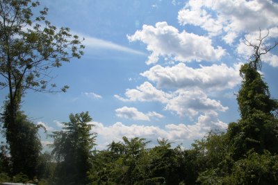 ir-2016-07-28_13-36_7195.jpg