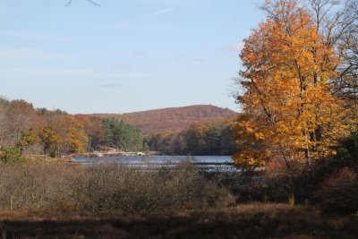 ir-2016-11-01_13-21_8317.jpg