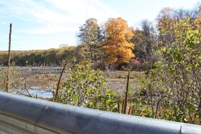 ir-2016-11-01_13-25_8318.jpg