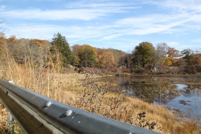 ir-2016-11-01_13-34_8341.jpg
