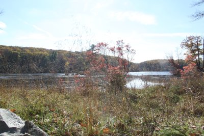 ir-2016-11-01_13-37_8345.jpg