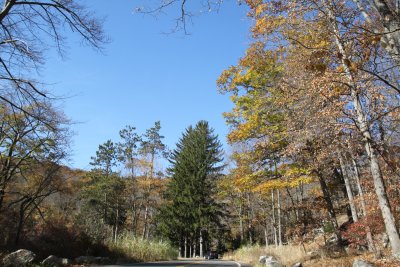 ir-2016-11-01_13-38_8346.jpg