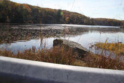 ir-2016-11-01_14-00_8355.jpg
