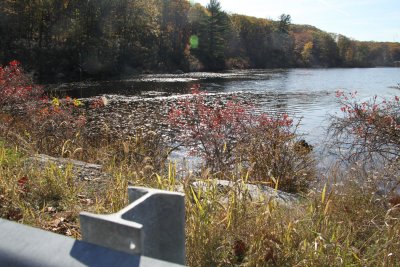 ir-2016-11-01_14-02_8360.jpg