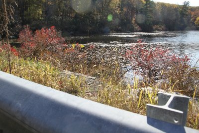 ir-2016-11-01_14-02_8362.jpg