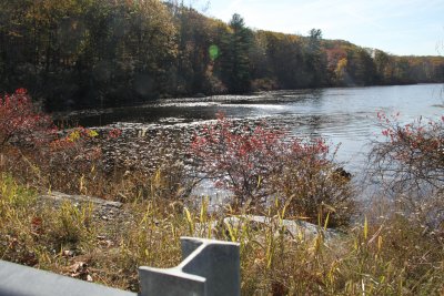 ir-2016-11-01_14-02_8363.jpg