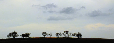 Prairie Sky