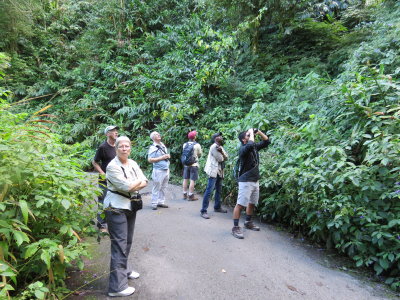 Blue Mountains National Park