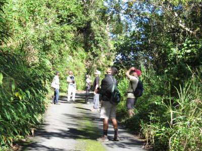 Blue Mountains National Park