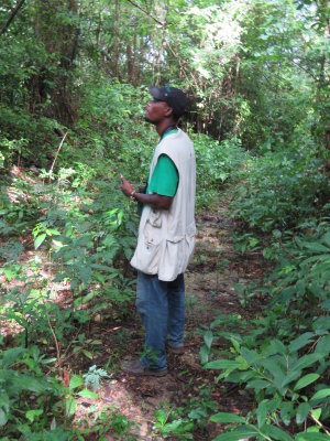 Our birding guide, Dwayne Swaby