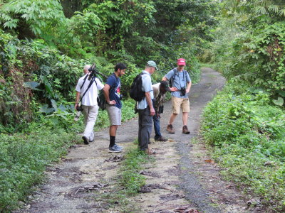 Birding troop