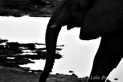 Etosha Okaukuejo3