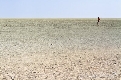 Etosha pan2