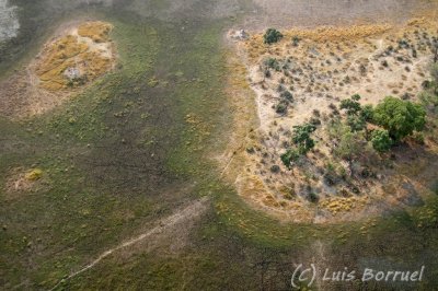 Okavango delta5